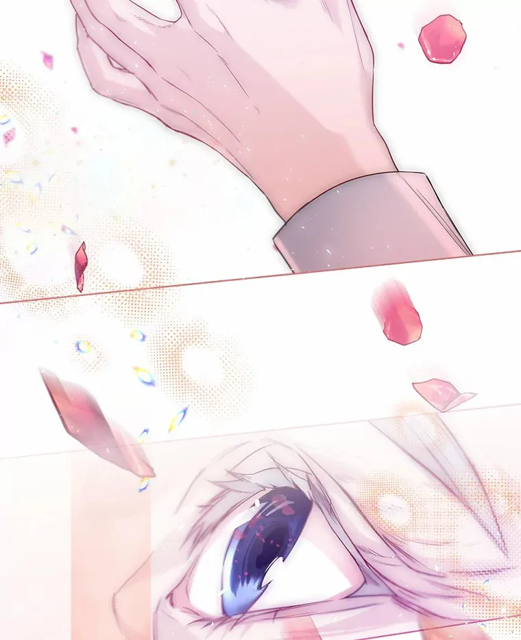 29.糖果26