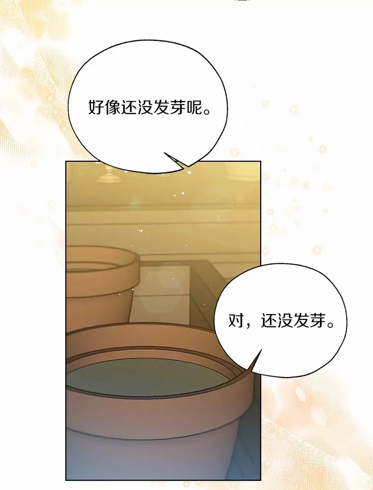 41.游园秀色27