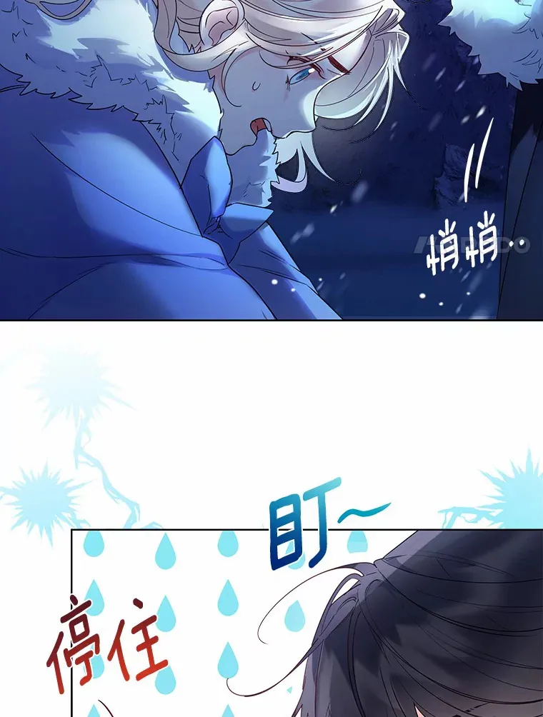 21.我的…雪球…31