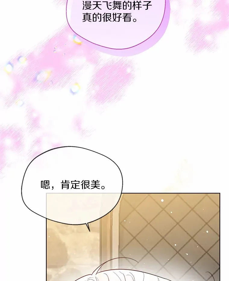 29.糖果29