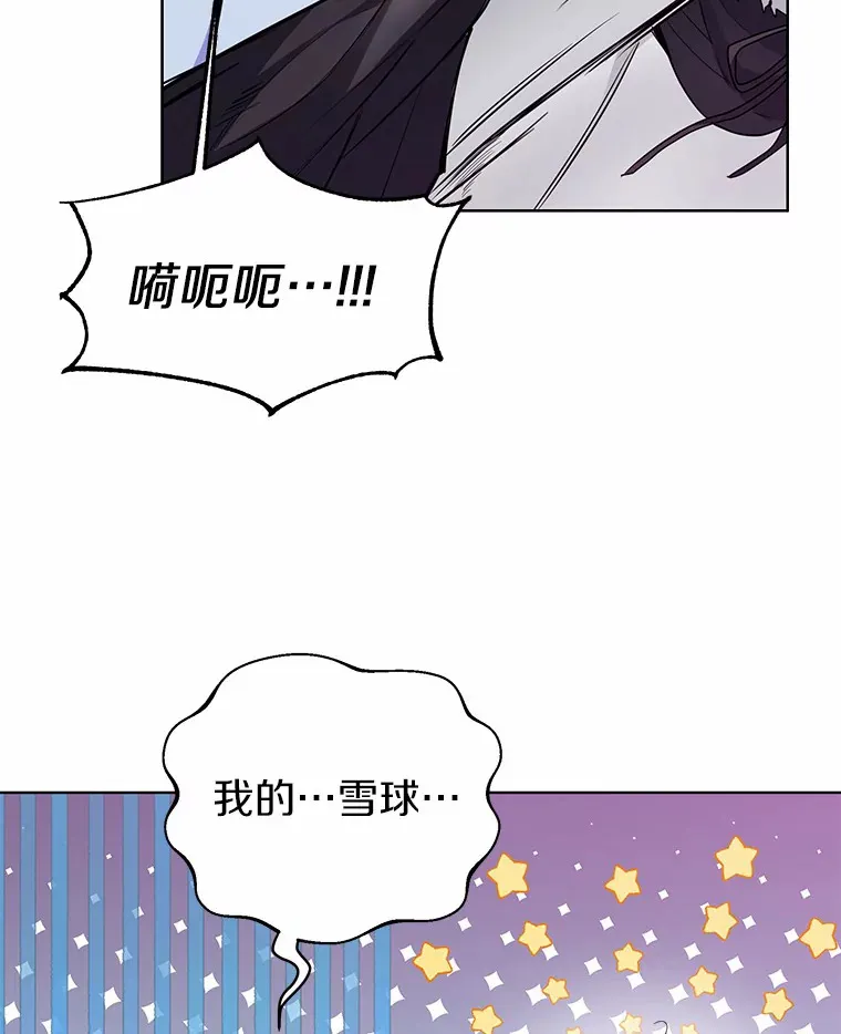21.我的…雪球…49