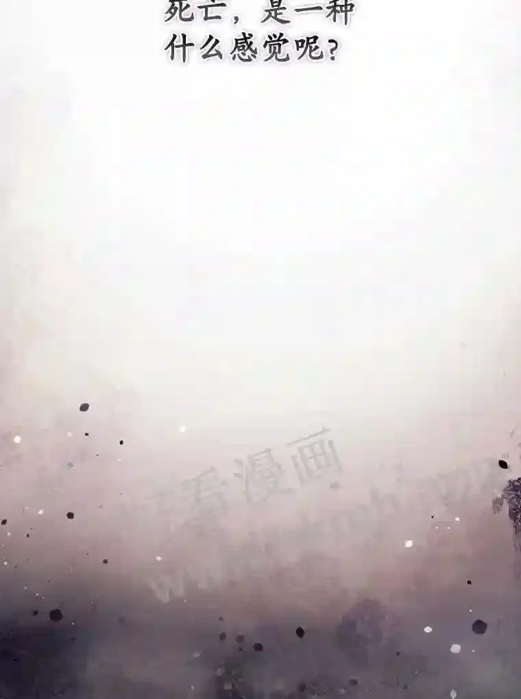 新作来袭4