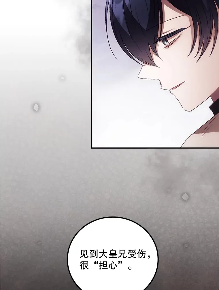 43.二皇子17