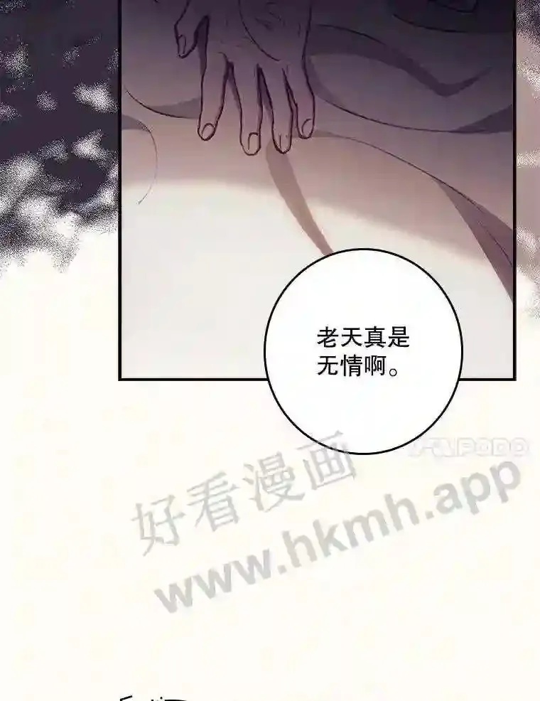 2.命运26