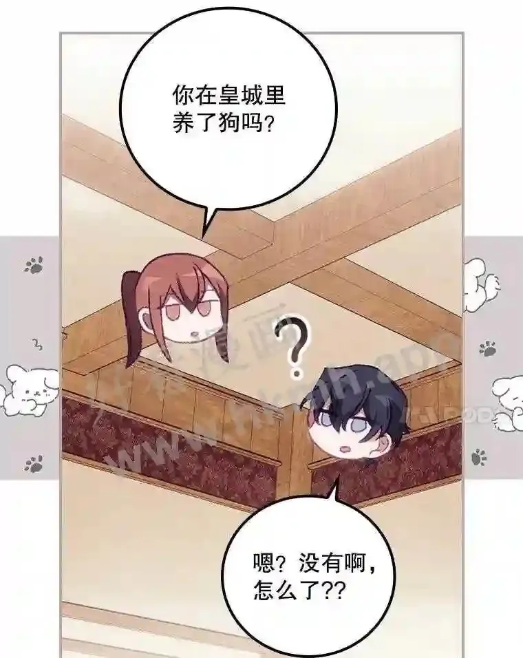 15.安抚50