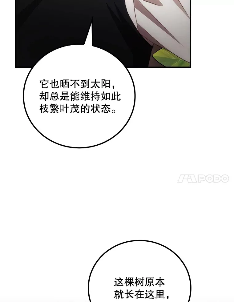 68.魔女6