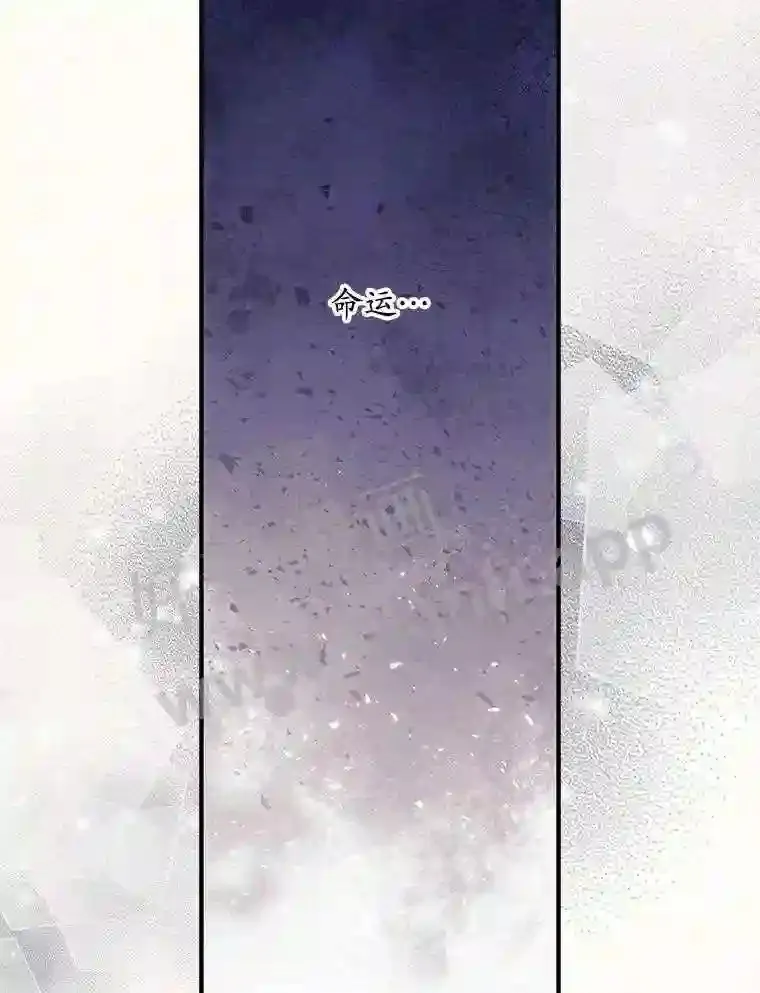2.命运41