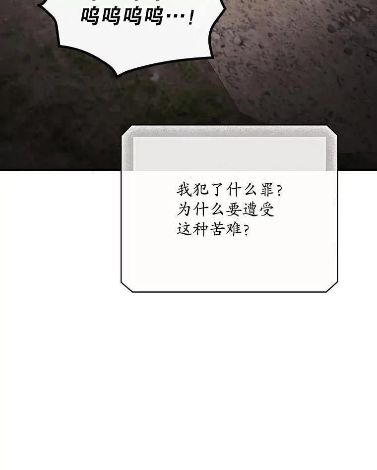 75.莱尔26