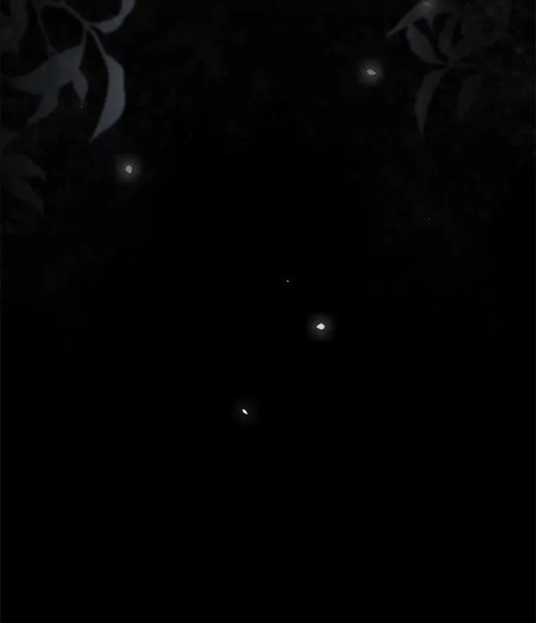 40.拦截20