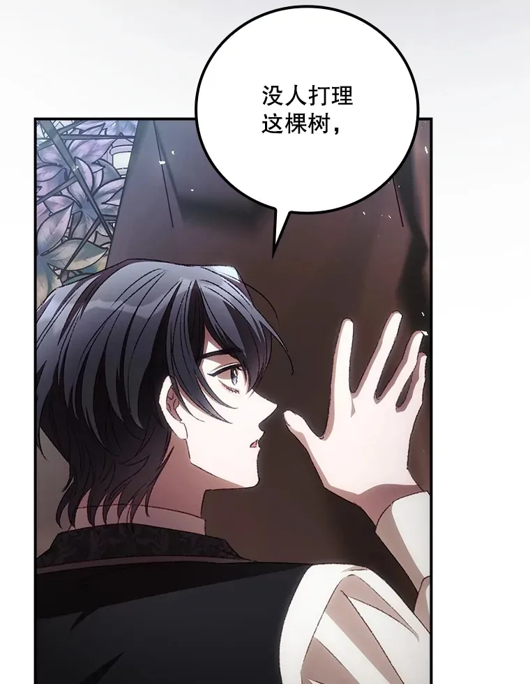 68.魔女5