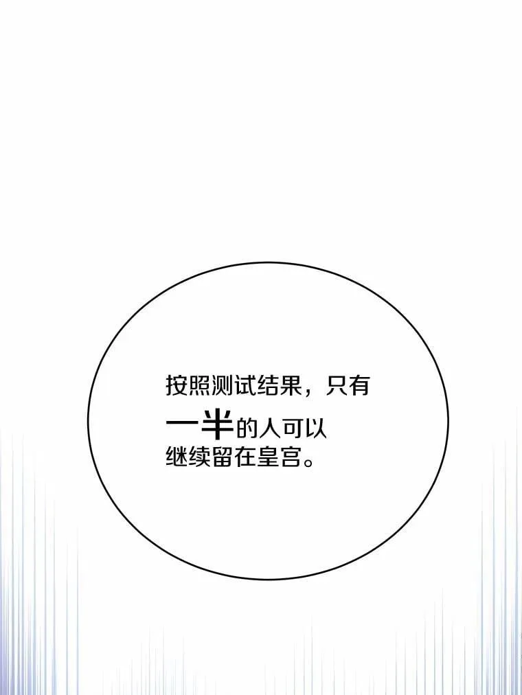 38.竞选开始65