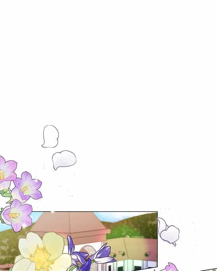 49.承认吧40