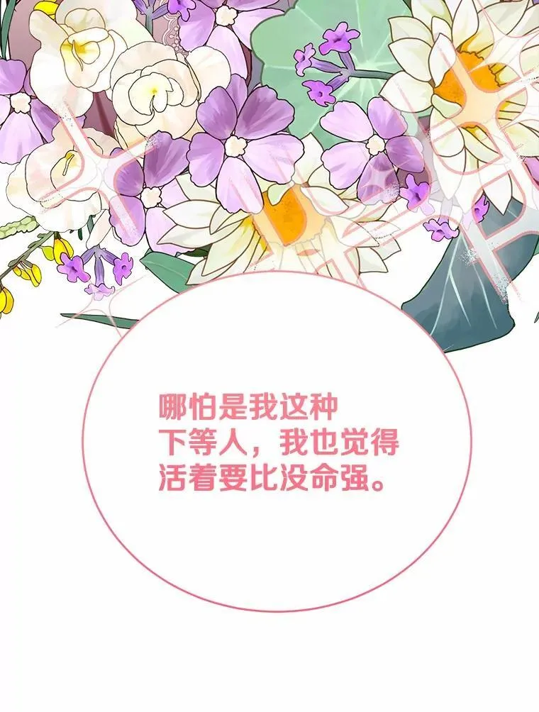 46.相同的寿命77