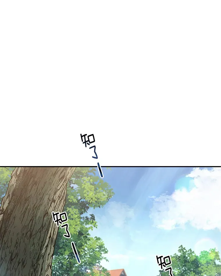 新作来袭3