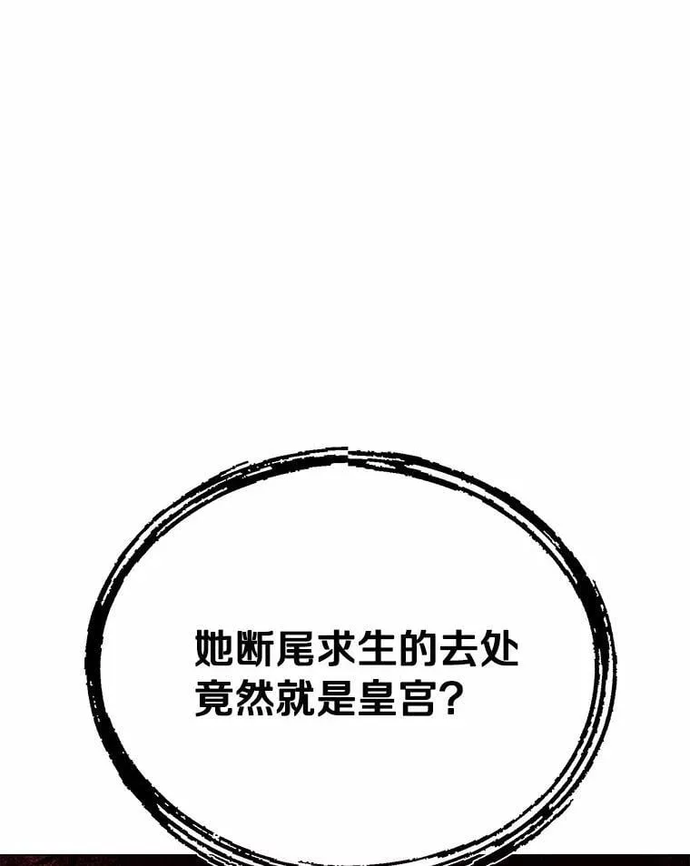 38.竞选开始121