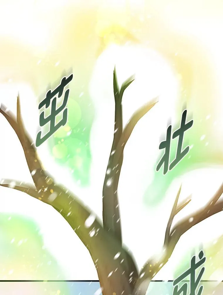 38.魔法师们的工作43