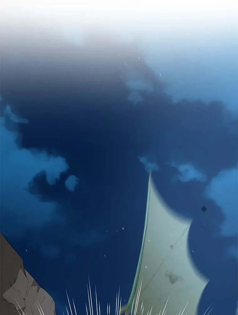 19.狮鹫宝宝94