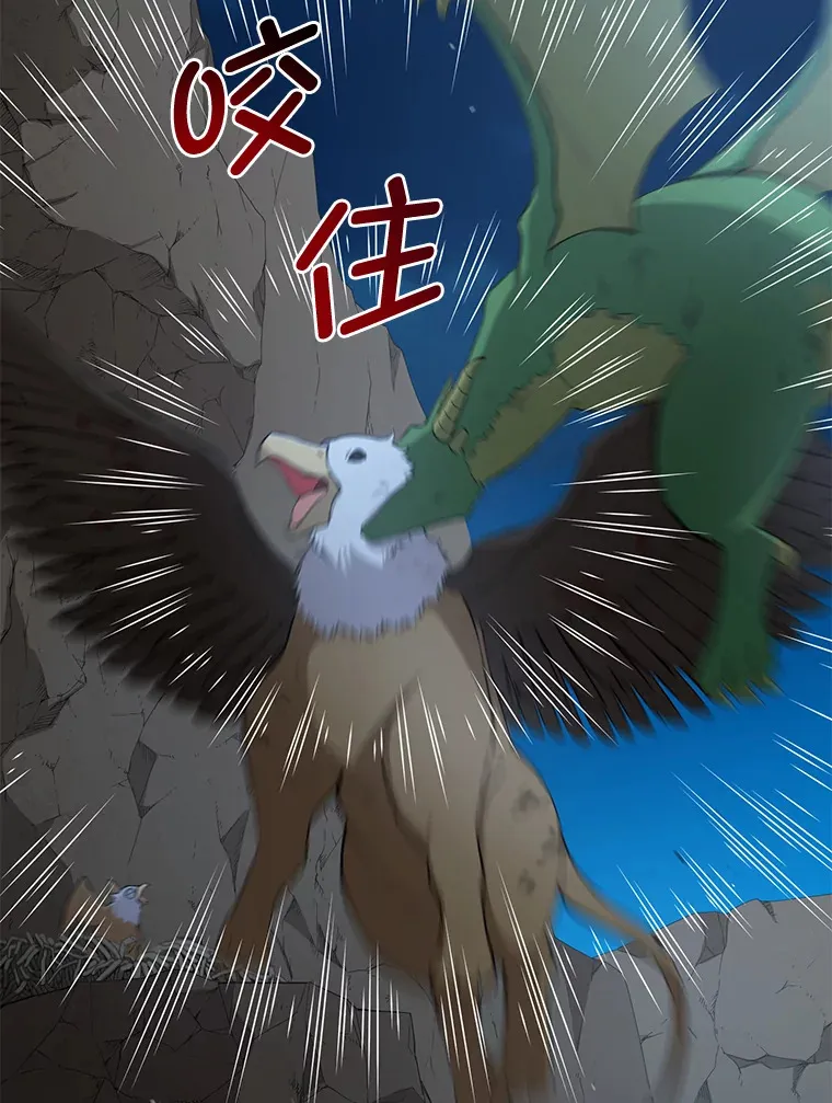 19.狮鹫宝宝95