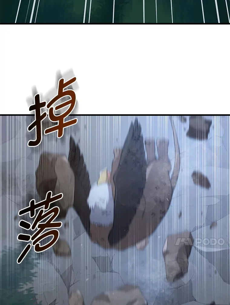 19.狮鹫宝宝99