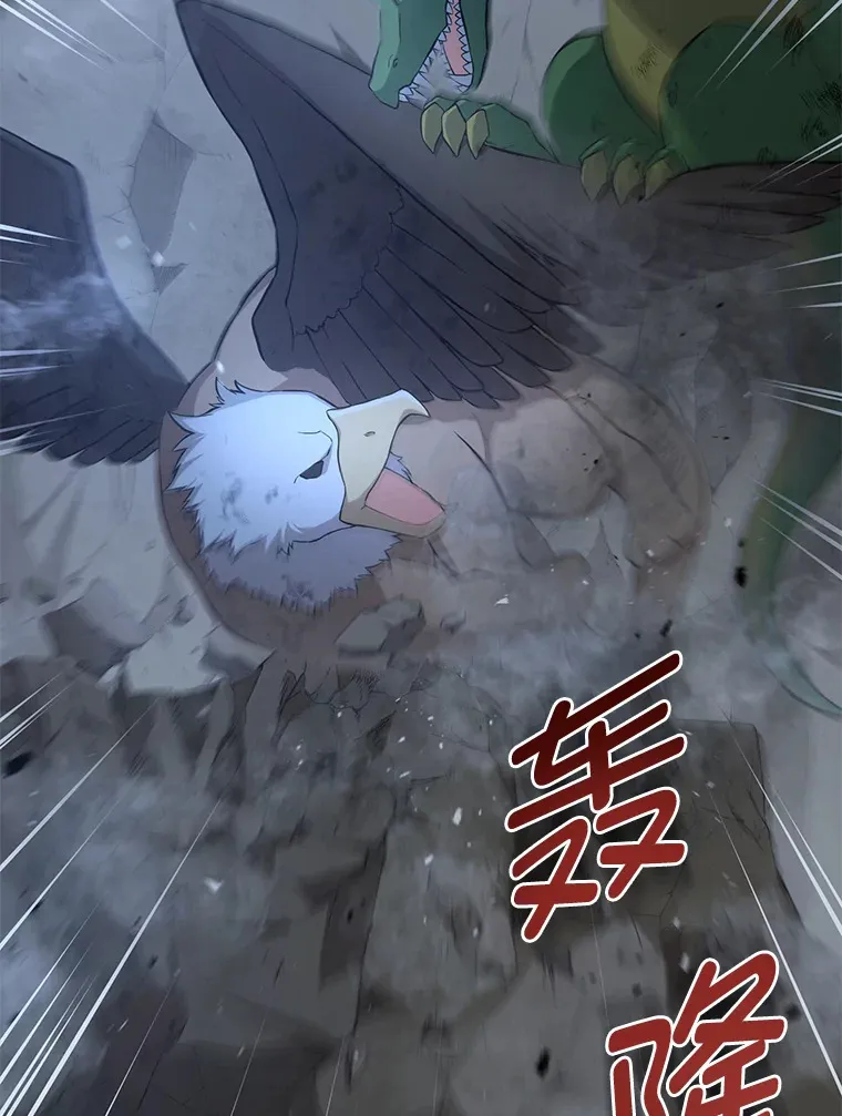 19.狮鹫宝宝97