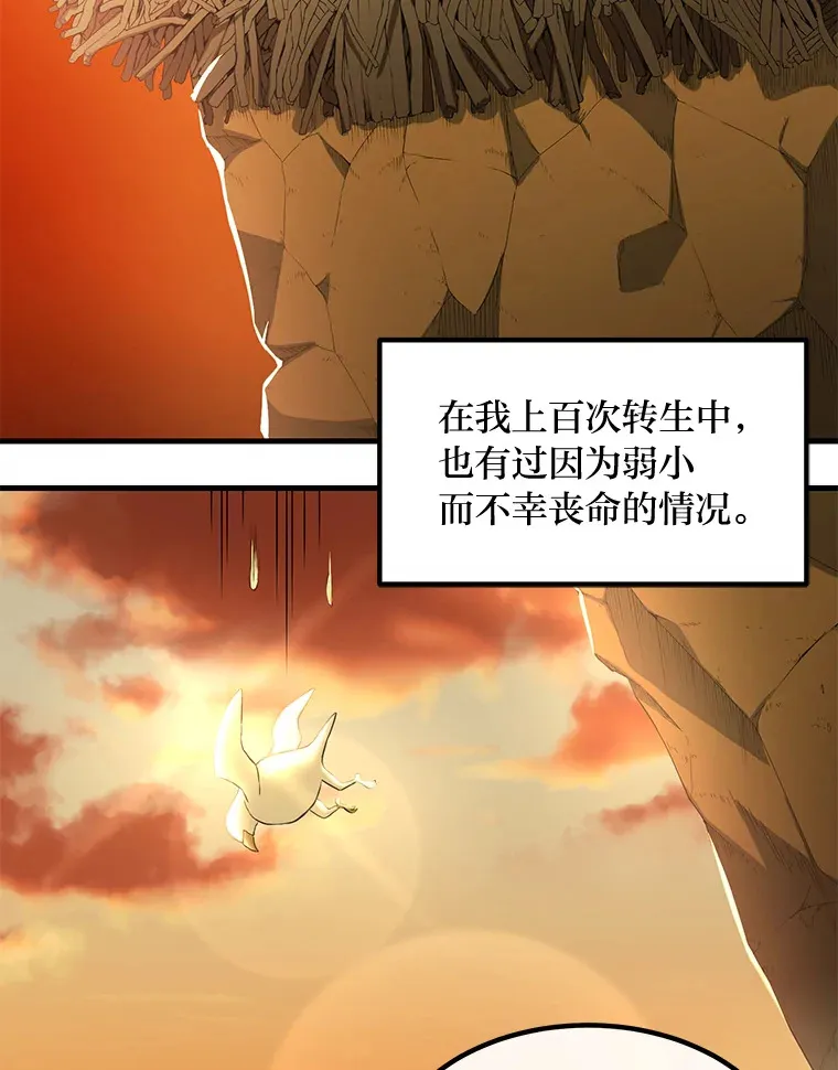 16.弱肉强食的法则102