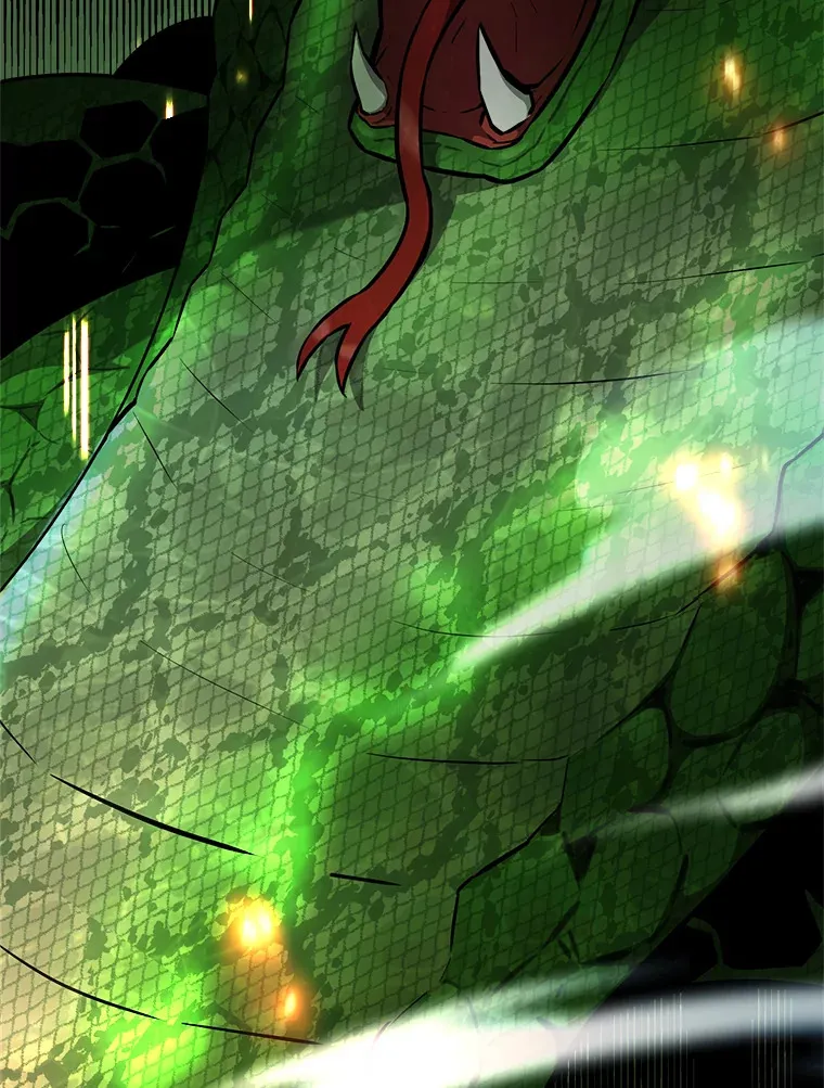 13.斗神标识1