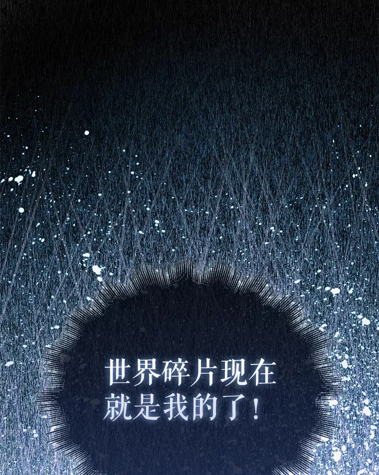 13.斗神标识133