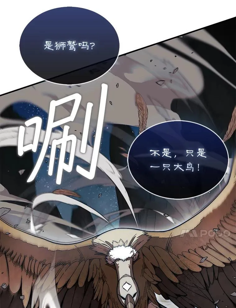 50.库帕83