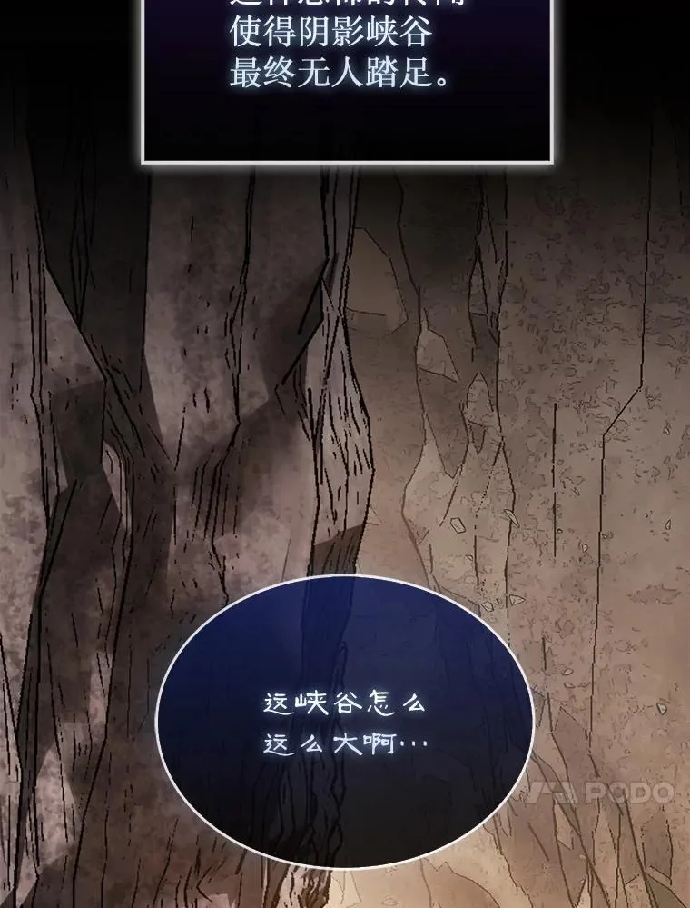 50.库帕136