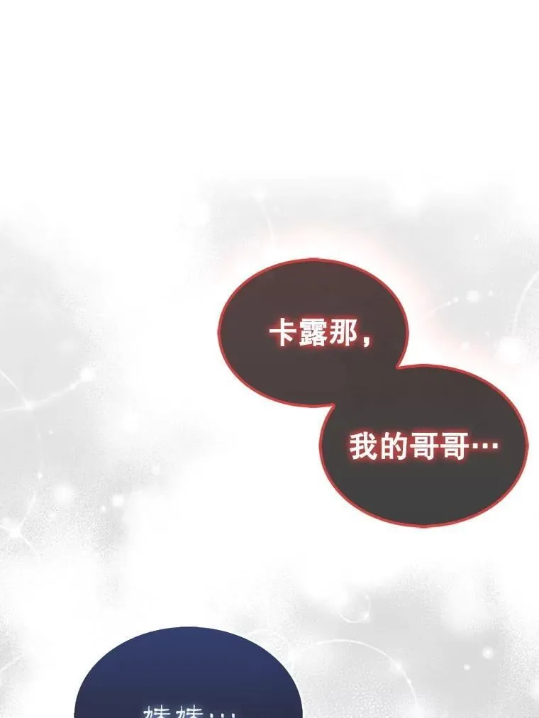 46.双胞胎骑士118