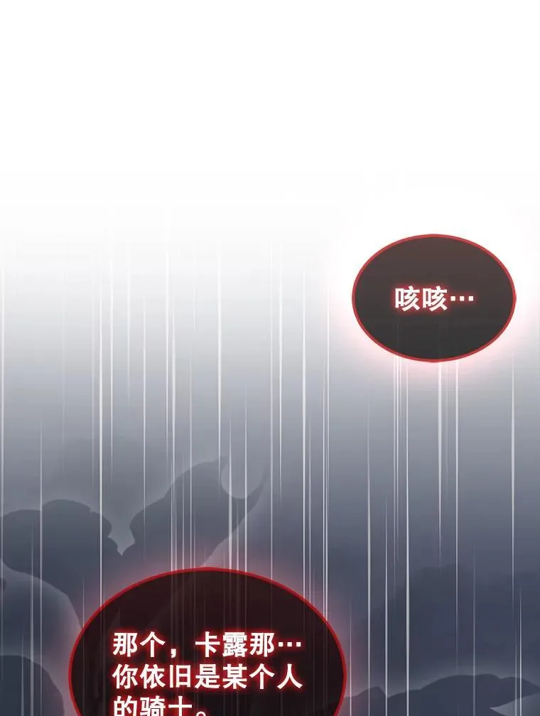 46.双胞胎骑士139