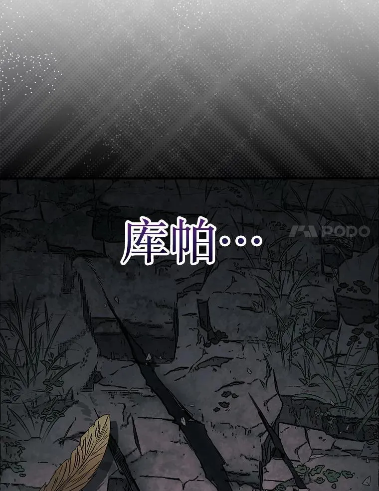 50.库帕103