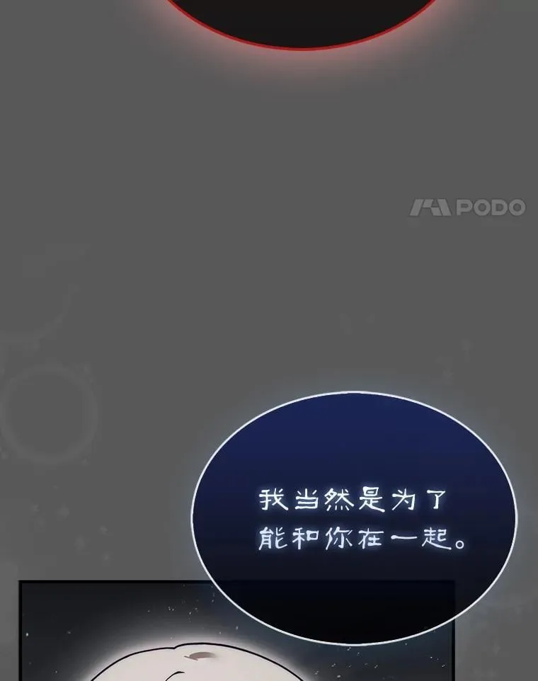46.双胞胎骑士211
