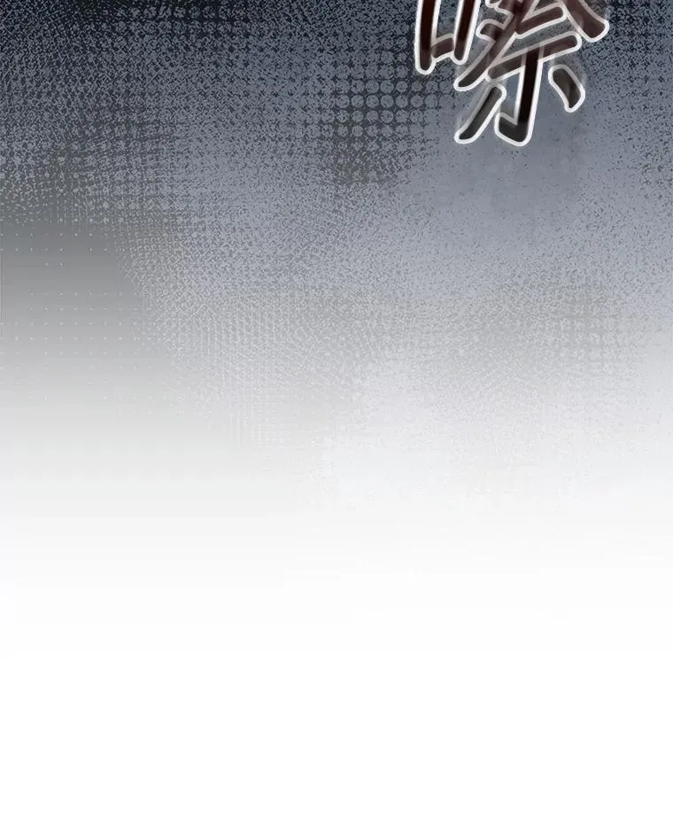 50.库帕164