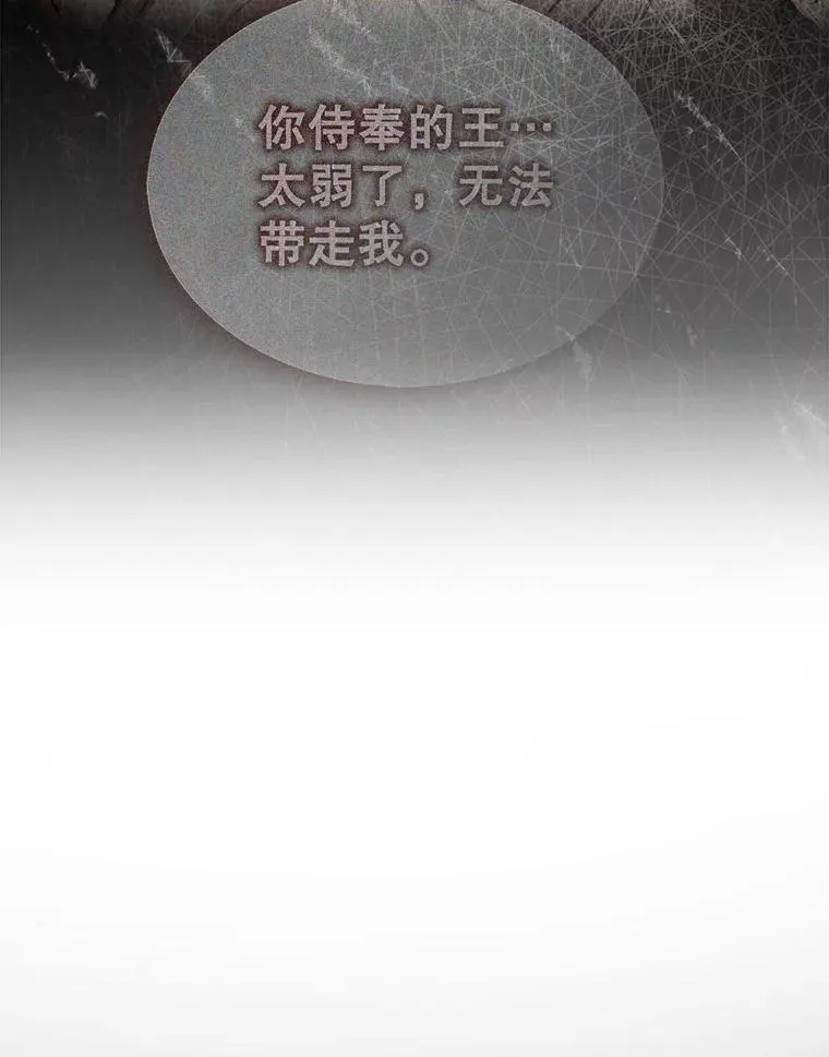 46.双胞胎骑士167