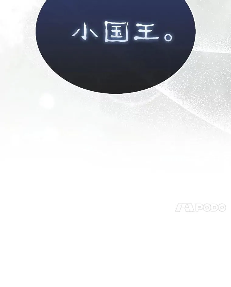 46.双胞胎骑士241