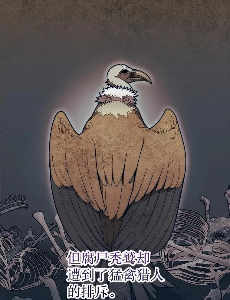 50.库帕123