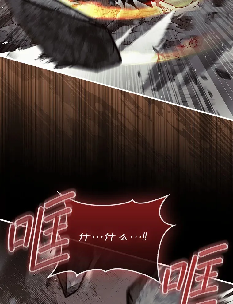 10.兄弟大战110
