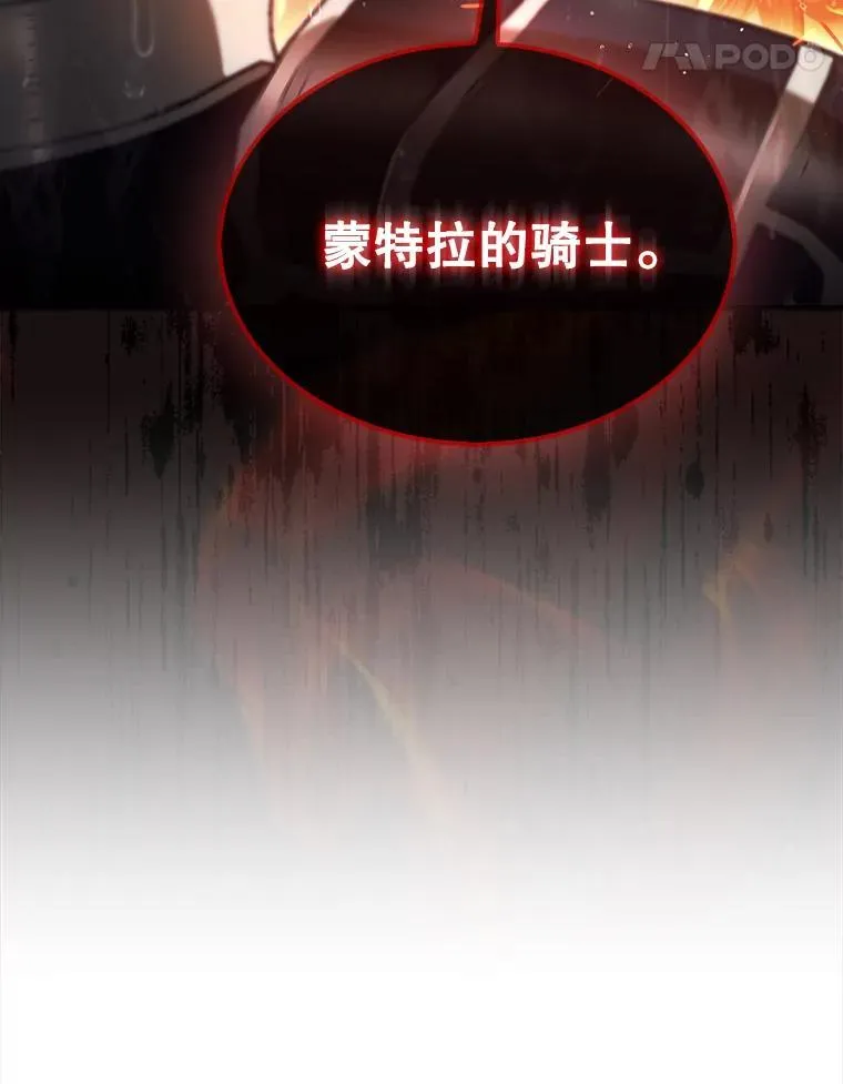 46.双胞胎骑士14