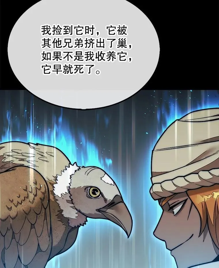 50.库帕114