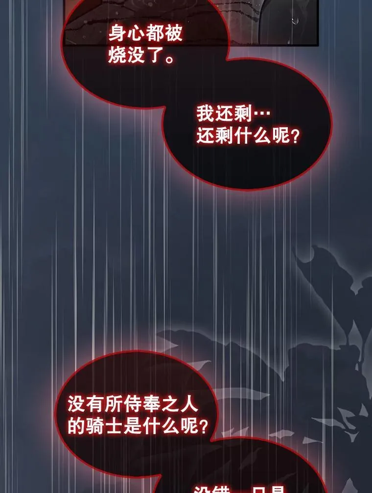 46.双胞胎骑士141