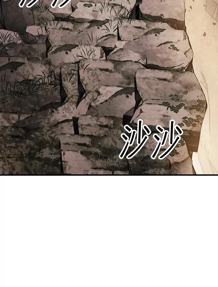 50.库帕138