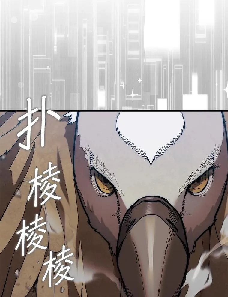 50.库帕85