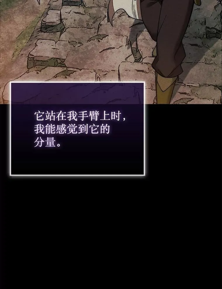50.库帕128