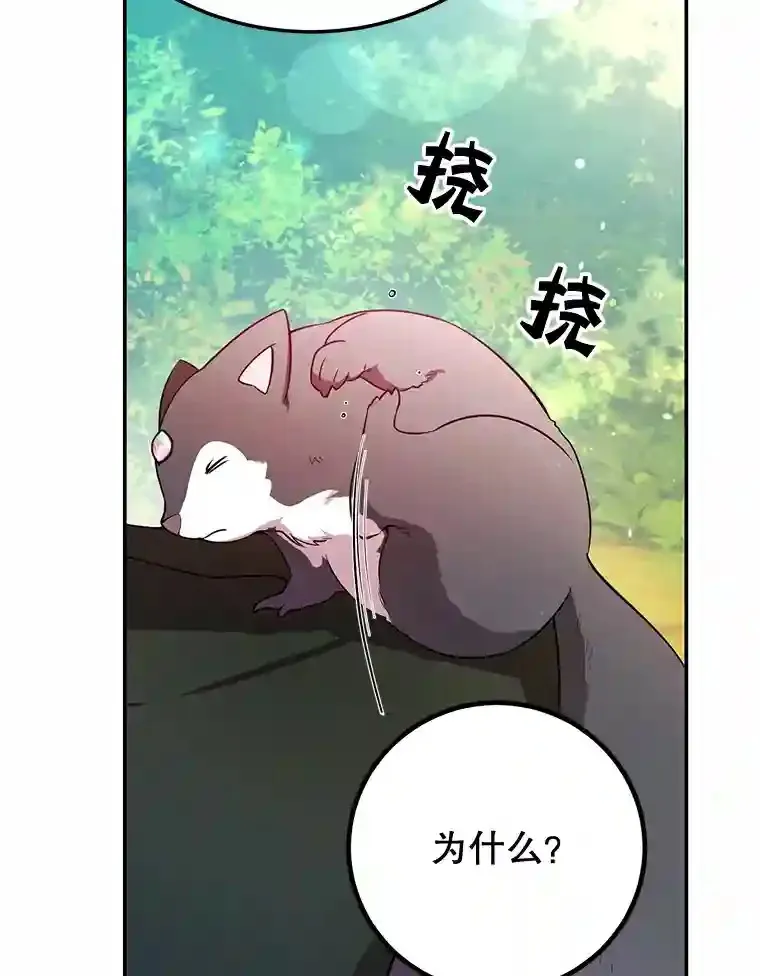 15.获得史诗级宠物103