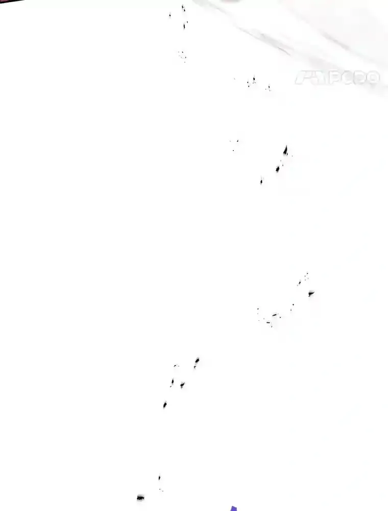 22.乐享派的选择57