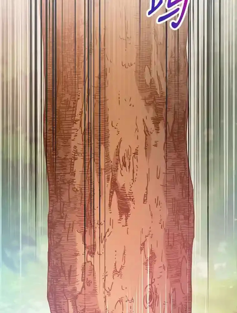 9.斗神19
