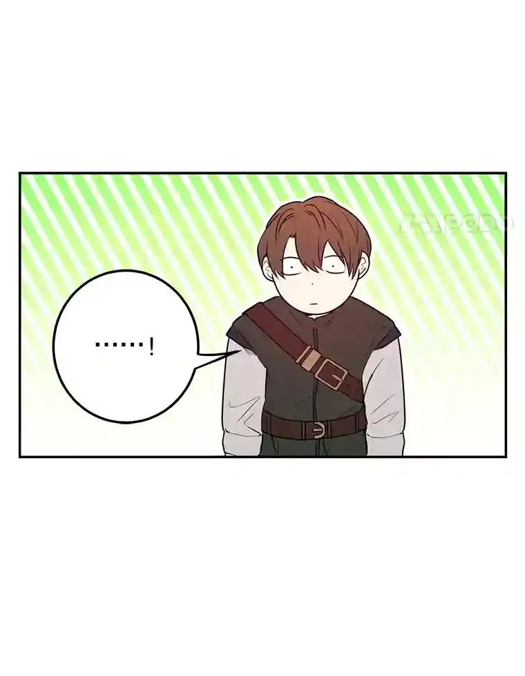 15.获得史诗级宠物24