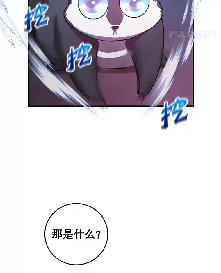 17.回到卢阿纳27
