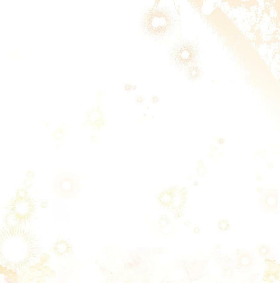 65 正确的选择89